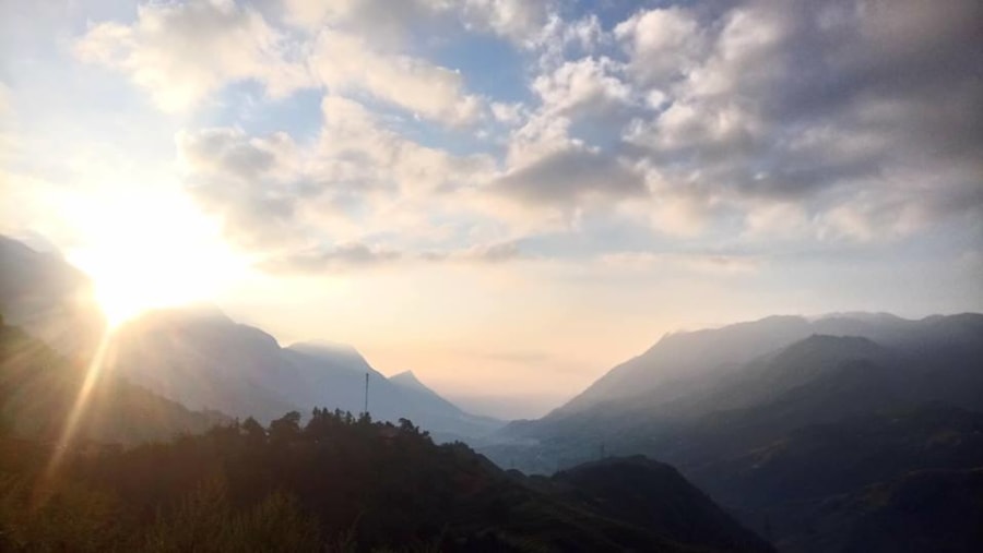 rice terrace