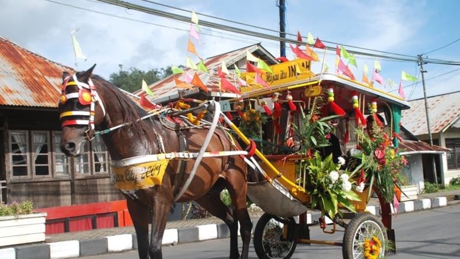 Bendi,traditional transport in Tomohon