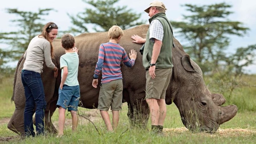 Family touching a tamed rhino