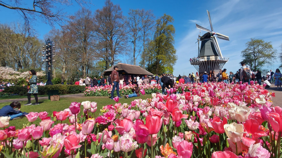 Keukenhof Gardens