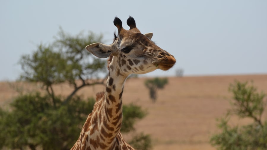 An unforgettable experience with our guide, Richard Peter