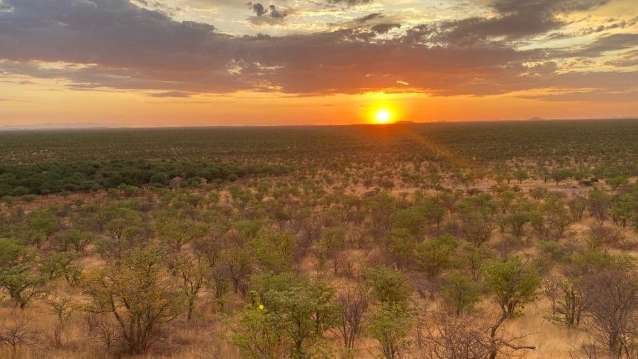 Sunset in the wilderness 