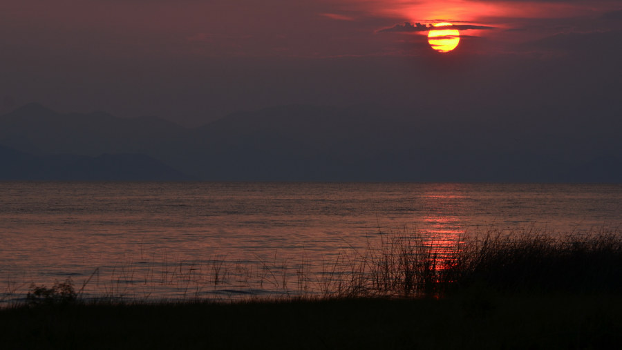 Shkodra Lake