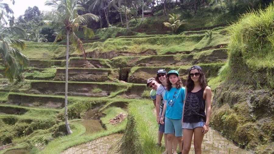 Rice terraces