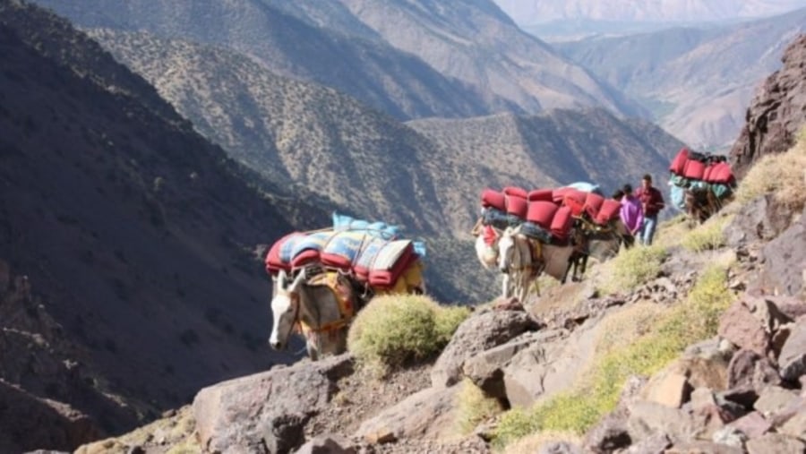 3 Day Toubkal Trek