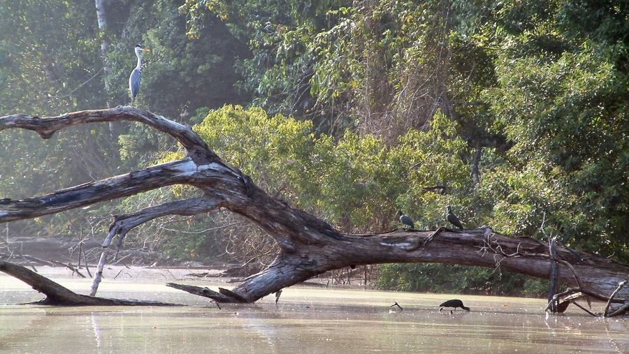 Lake Salvador