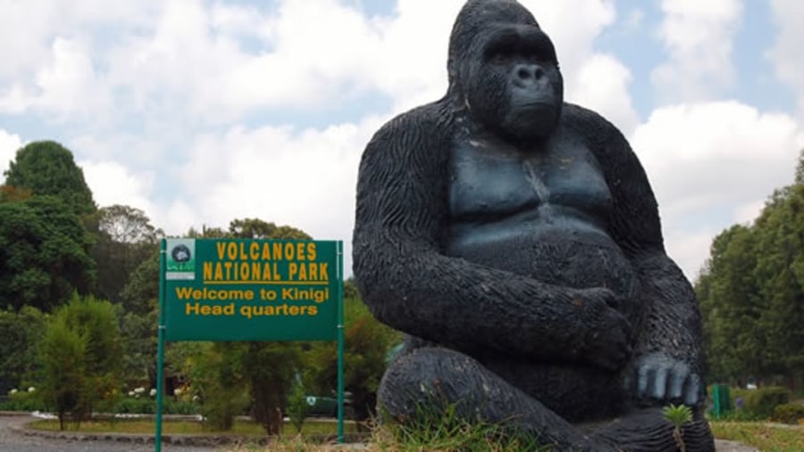 volcanoes park entrance -neza safaris