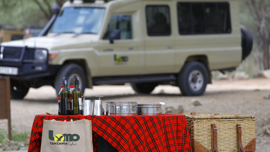 Lunch in Tarangire National Park.