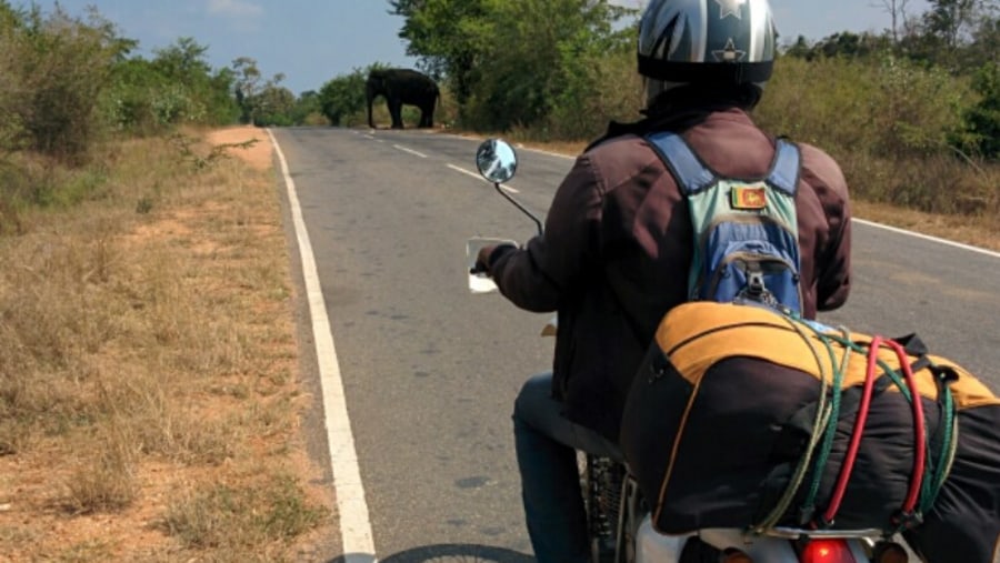 Fantastic 11 night best of Sri Lanka motorbike tour