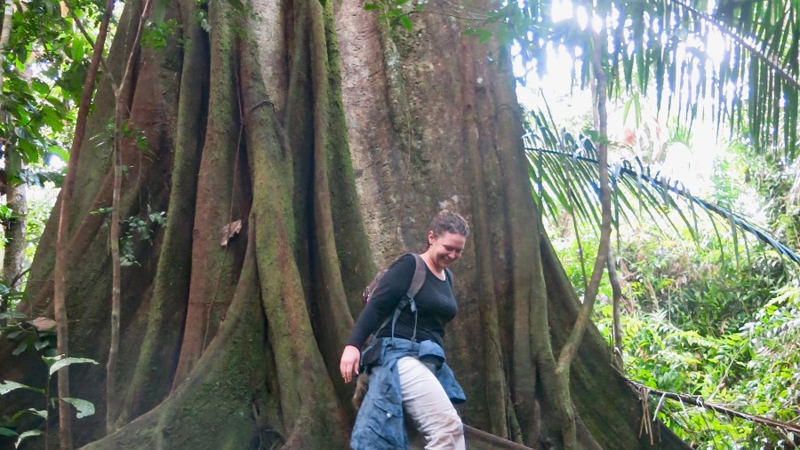 The beautiful Peruvian Amazon! 