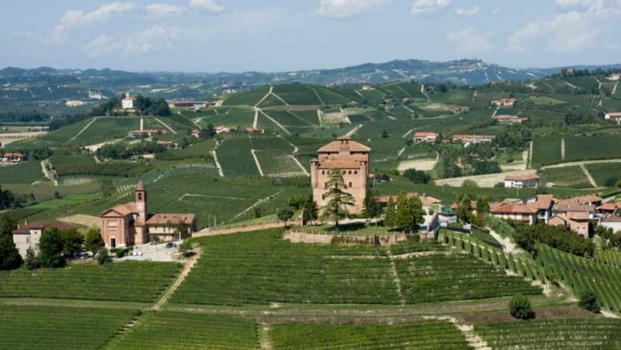 Castles and vineyards