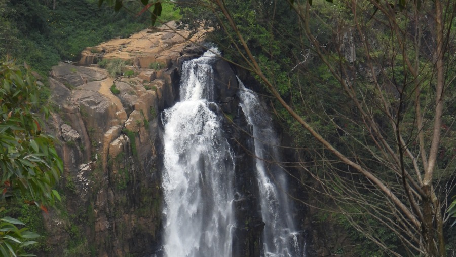 Sri Lanka Trip