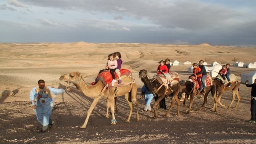 Best Guide in imlil for hike to toubkal and desert tour