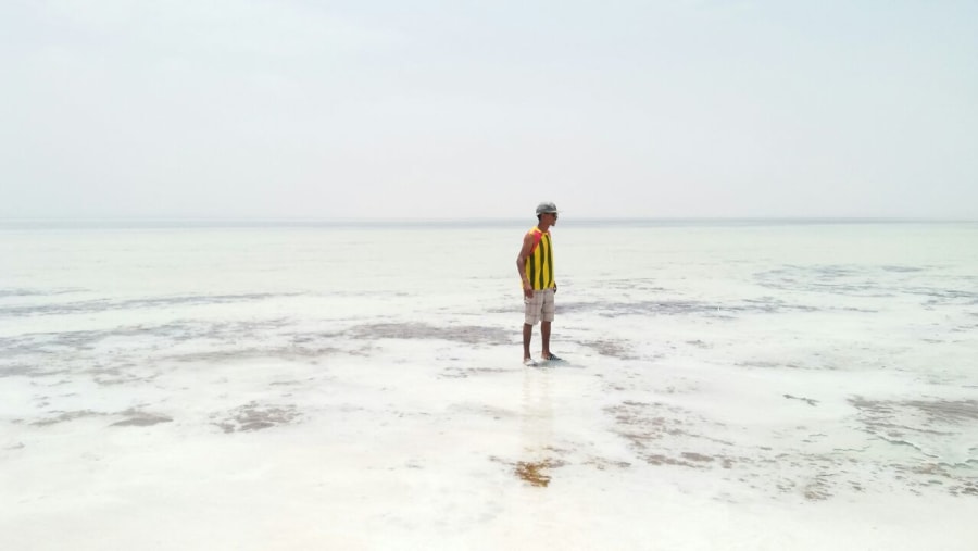 afar region Ethiopia salt lake 960 km. far from Addis Abab    