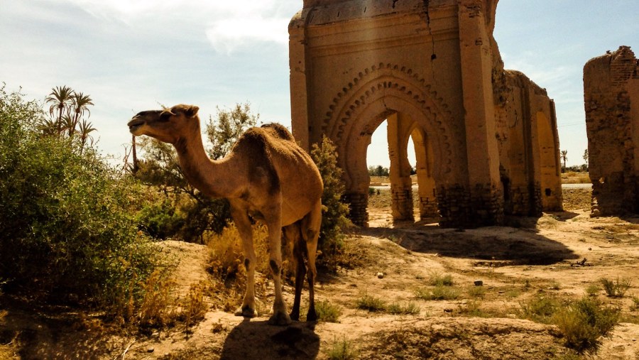 Discover the rich history, culture, and vibrant markets of Morocco, a North African country known for its cuisine, tourism industry, and diverse economy. #Morocco #NorthAfrica #Culture #Travel