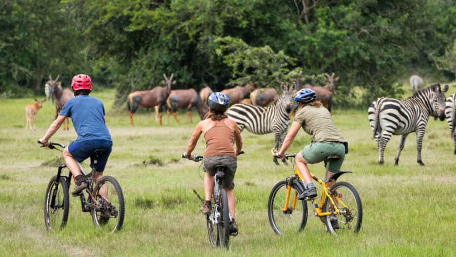 Biking tour around lake Manyara National Park