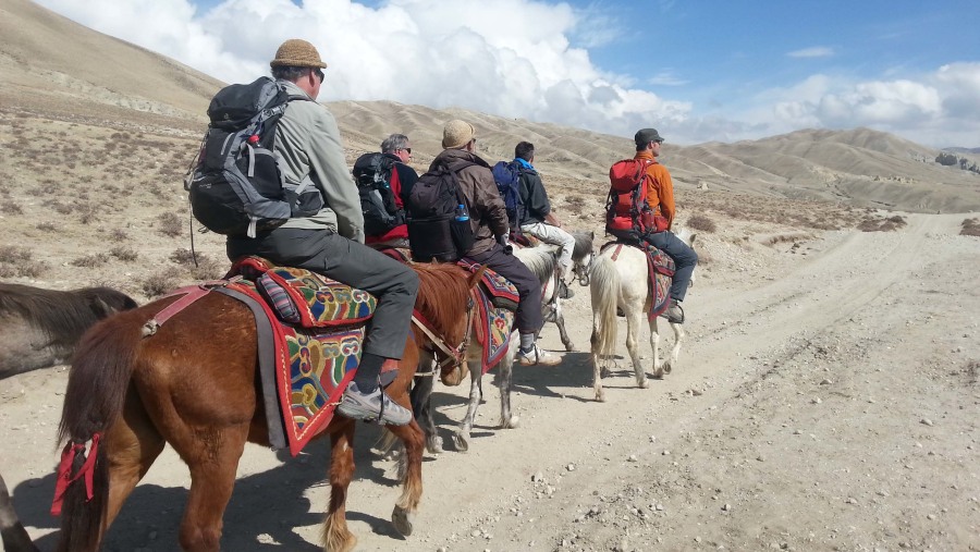 Horse riding @ Mustang