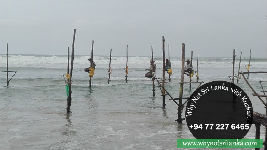 Stilt fishermen 