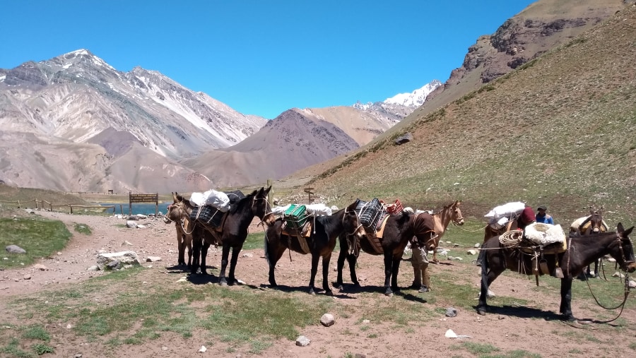 Aconcagua Provincial Park