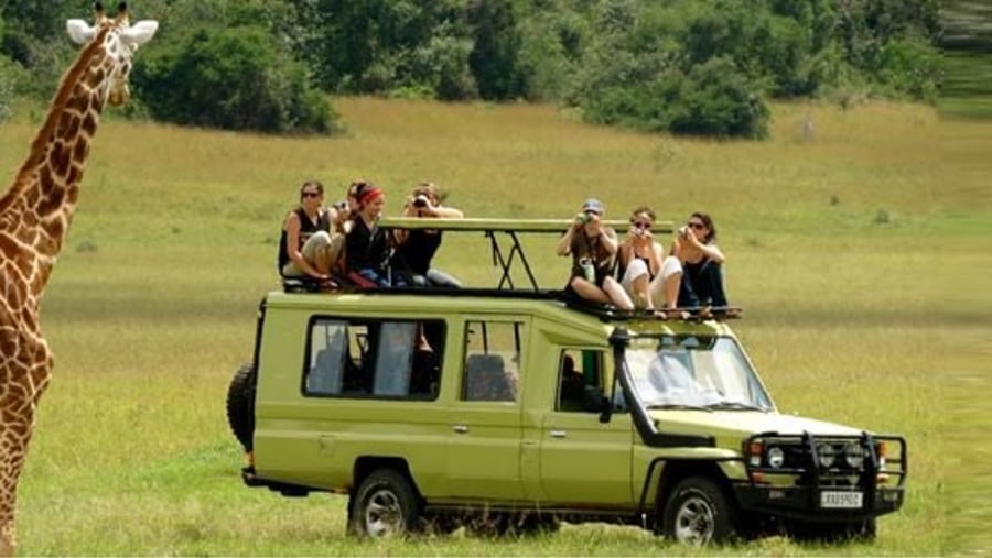 Safari jeep jpg