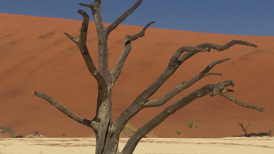 Deadvlei - Sossusvlei