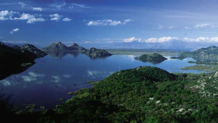 Skadar lake