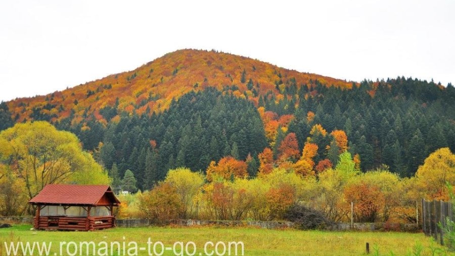 Bucovina Postcards