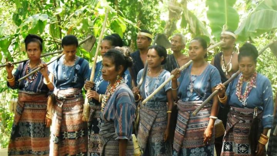 MOF - Bliransina Traditiona rice planting dance