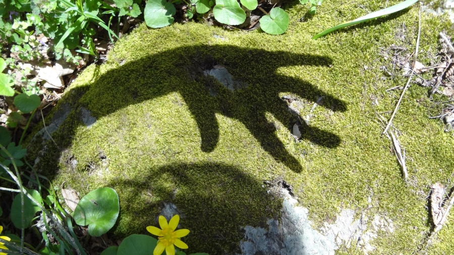 my hand on my photo, made in the mountain above Sliven