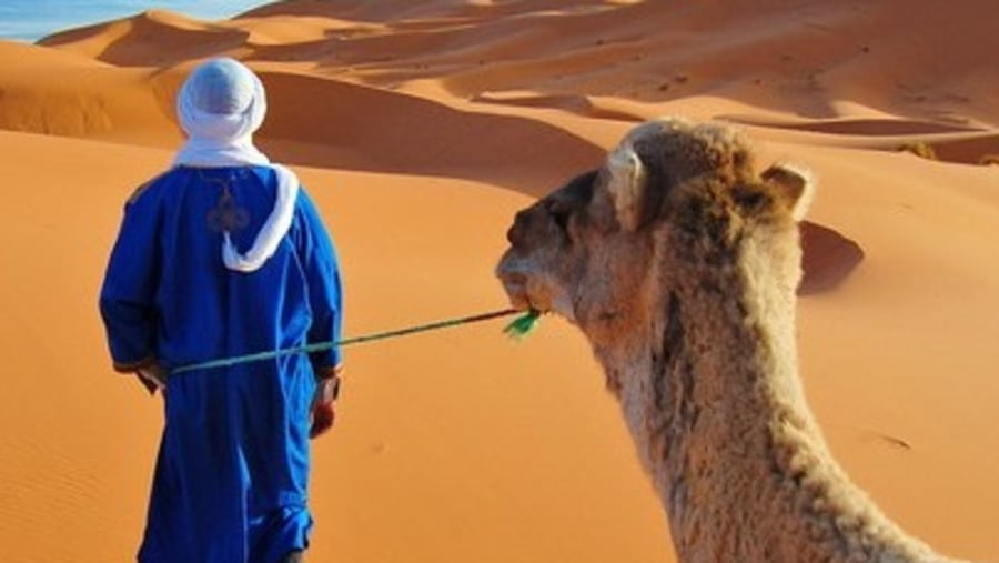 camel trek