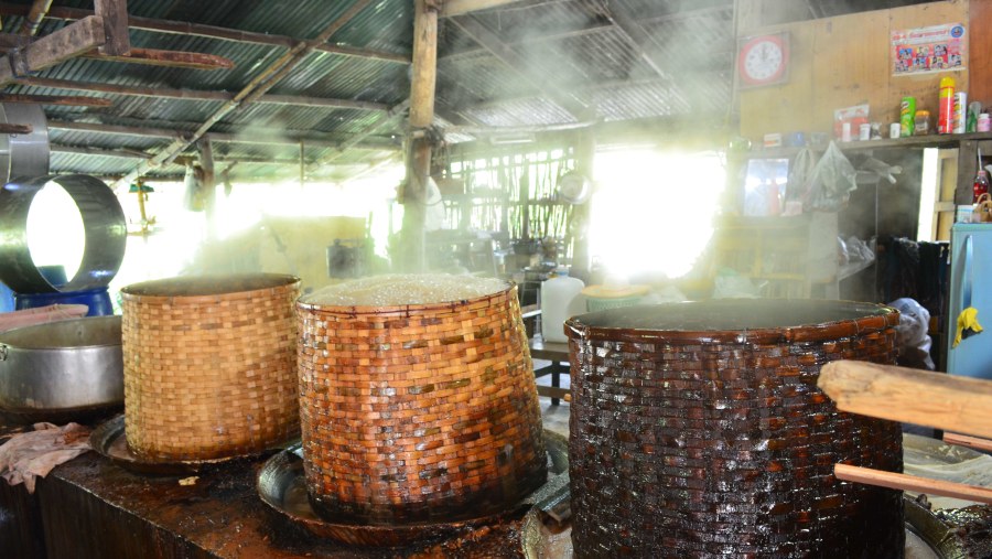 Coconut Sugar home factory