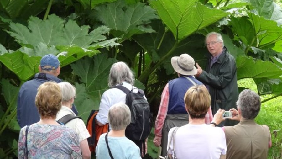 Garden Tour