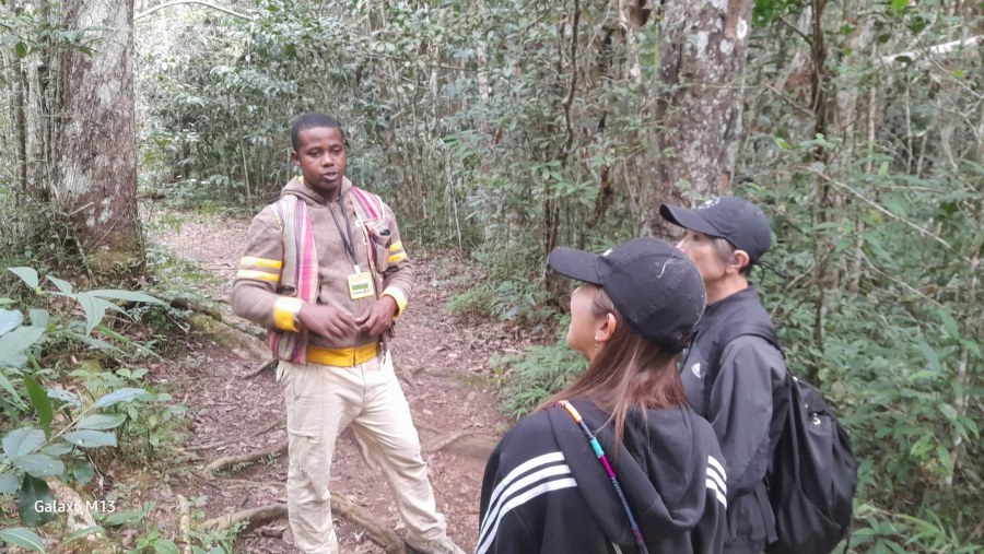 Guided visit at Andasibe natiobnal park with our best guide ..! 