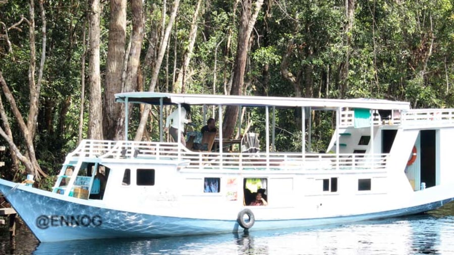 Tanjung Puting National Park