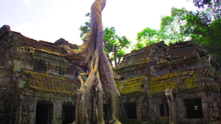 Ta Prohm