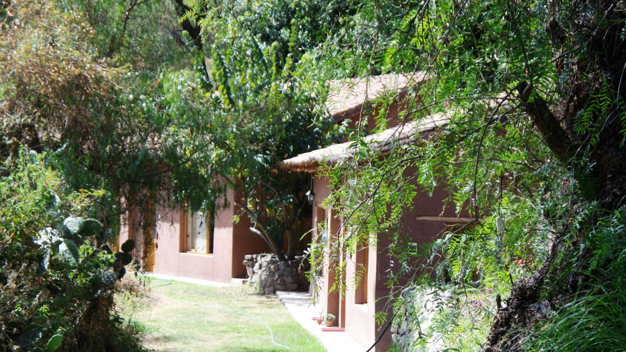 view of the bungalows