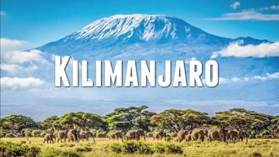 Ice of kilimanjaro