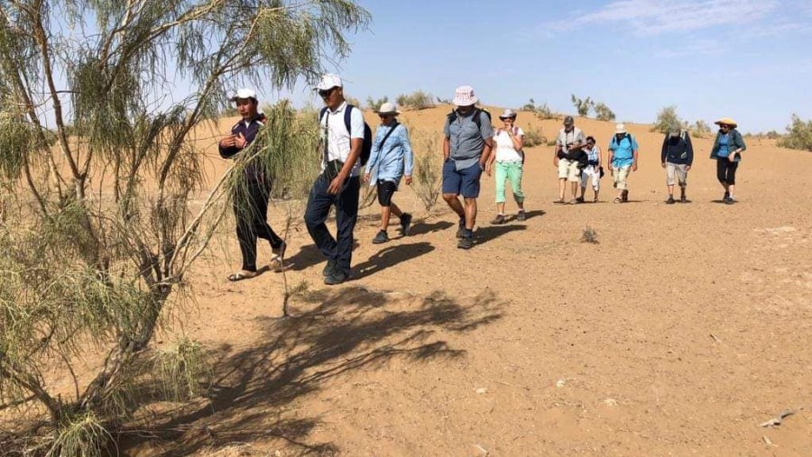 Walking in desert