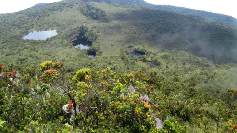 mount talamau