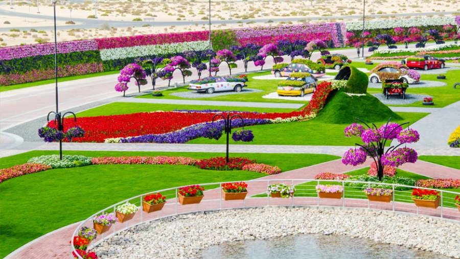 Miracle Garden