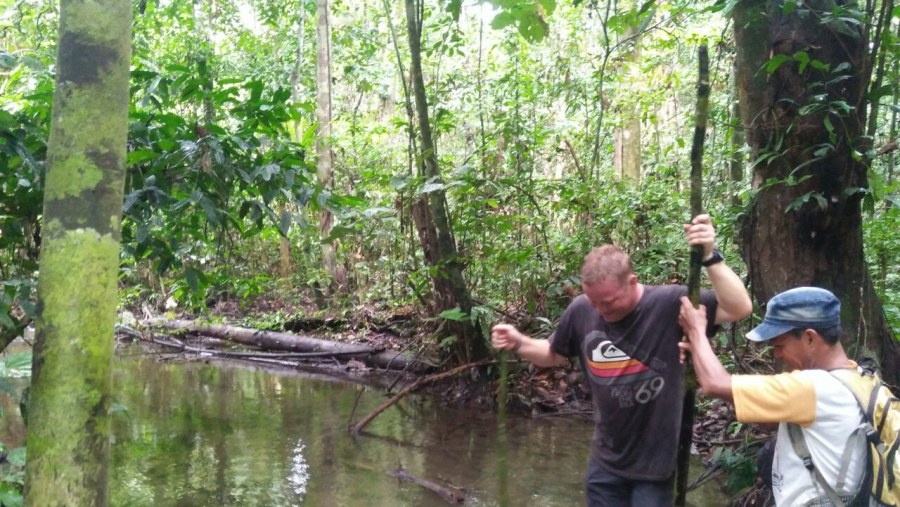 Jungle Treking Merabu