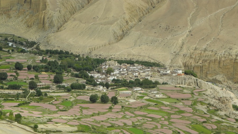 Discovery of Nepal with Glacier Family Treks