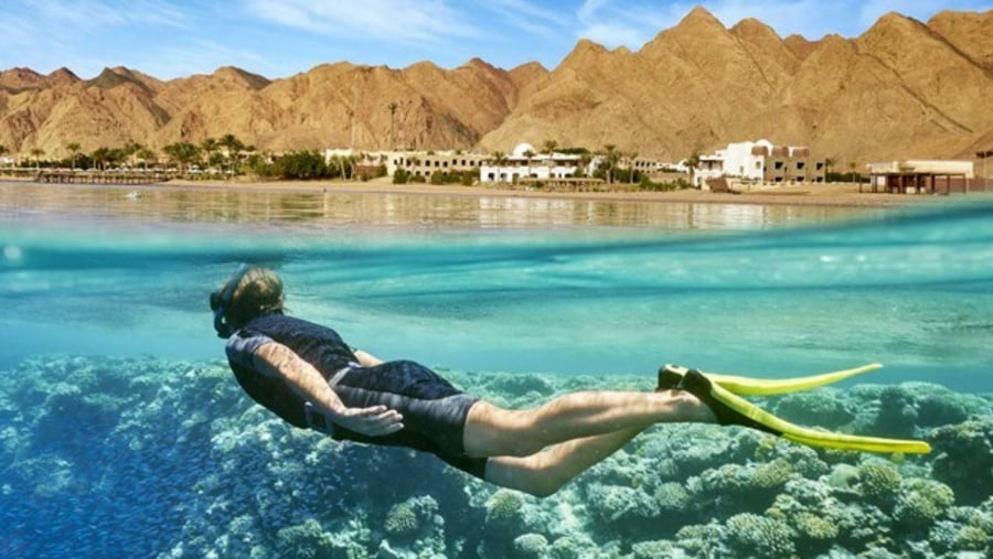Red Sea Snorkeling 