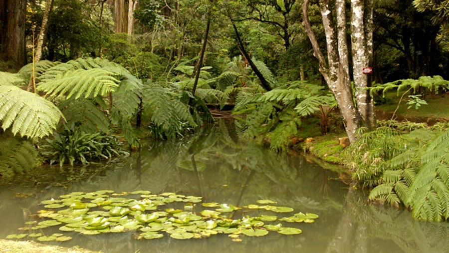 Natural water stream 