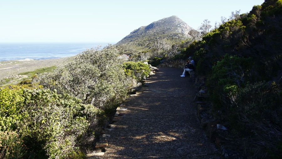 On our way to Experience the beauty of Cape Point