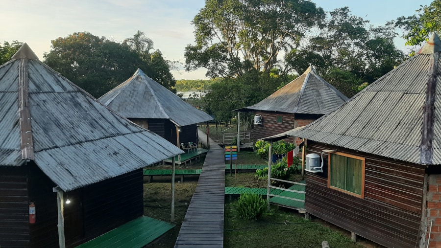 Jungle lodge 