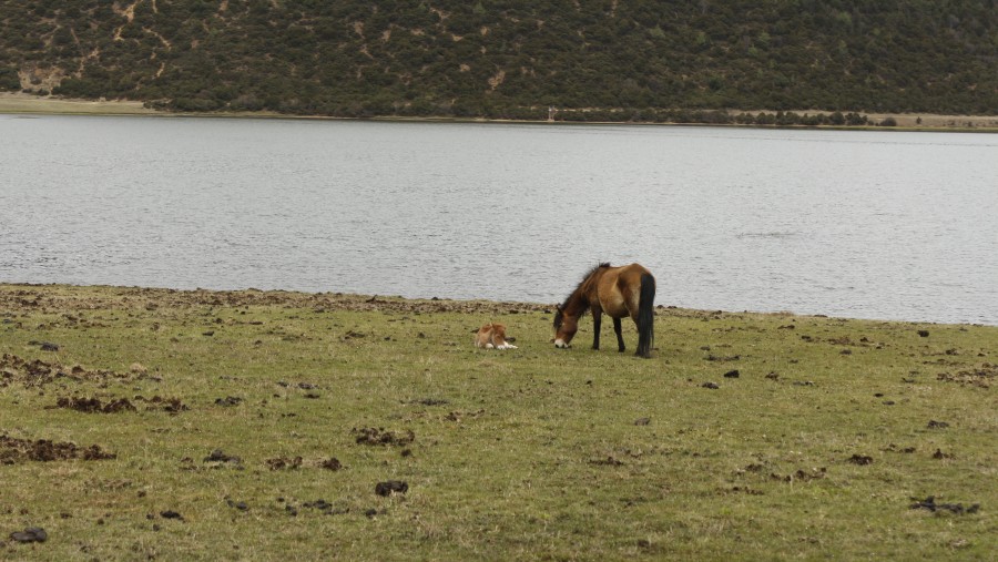 Shudu lake