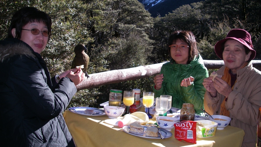 CanNZ Picnic Lunch