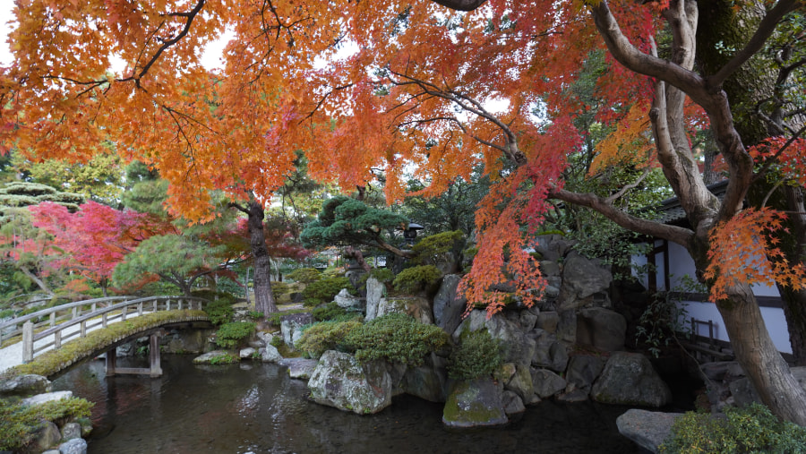 Kyoto Imperial Palace Garden