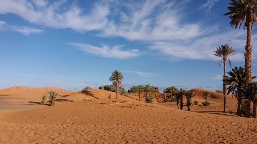 Desert Tour and Guide of 15 days around Morocco.